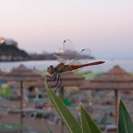 ベッド・アンド・ブレックファスト Teta 4*